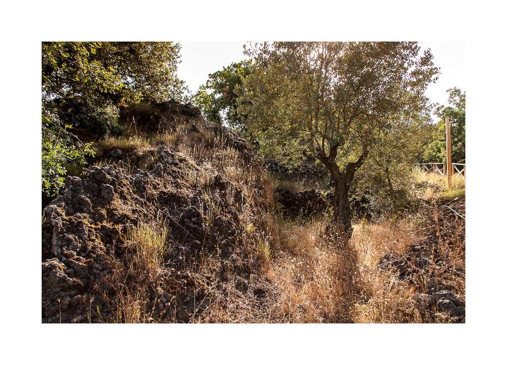 Вилла Ecoagriturismo Notti Stellate Etna Mare Маскали Экстерьер фото