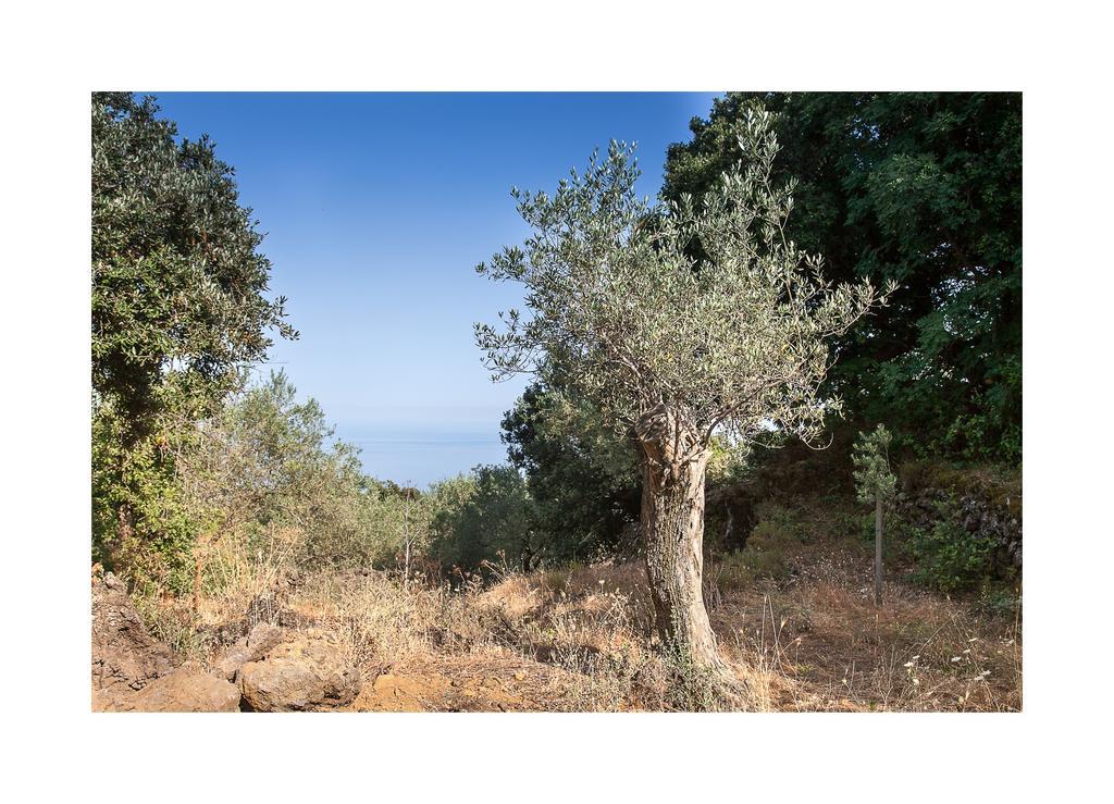 Вилла Ecoagriturismo Notti Stellate Etna Mare Маскали Экстерьер фото