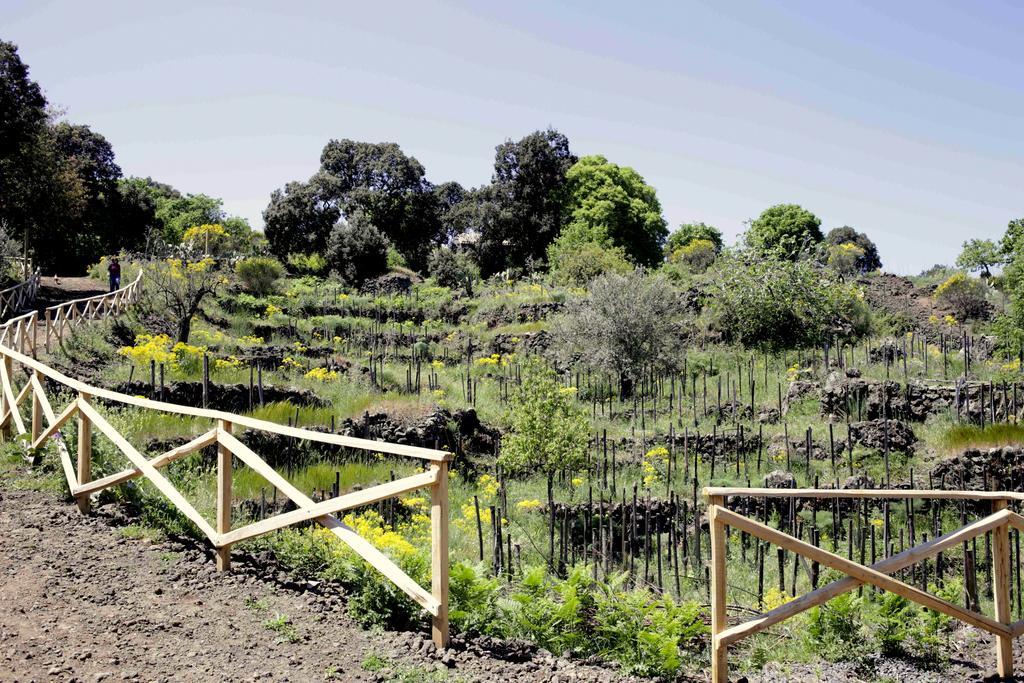 Вилла Ecoagriturismo Notti Stellate Etna Mare Маскали Экстерьер фото