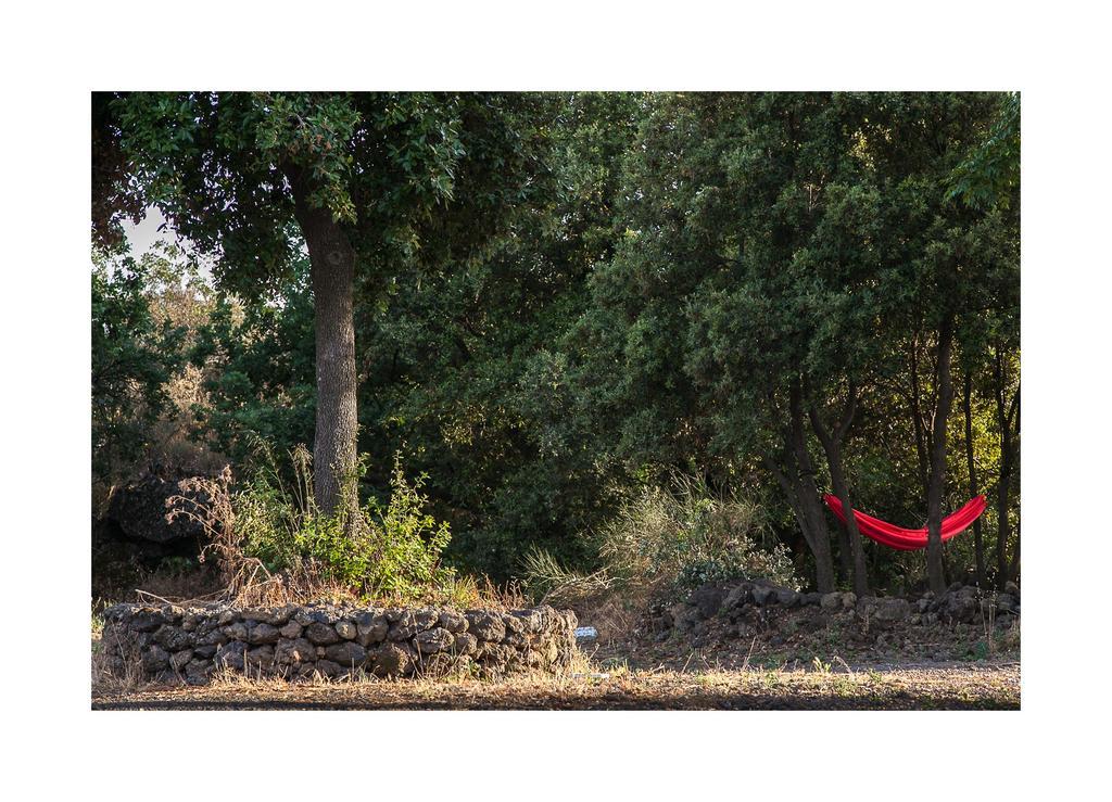 Вилла Ecoagriturismo Notti Stellate Etna Mare Маскали Экстерьер фото