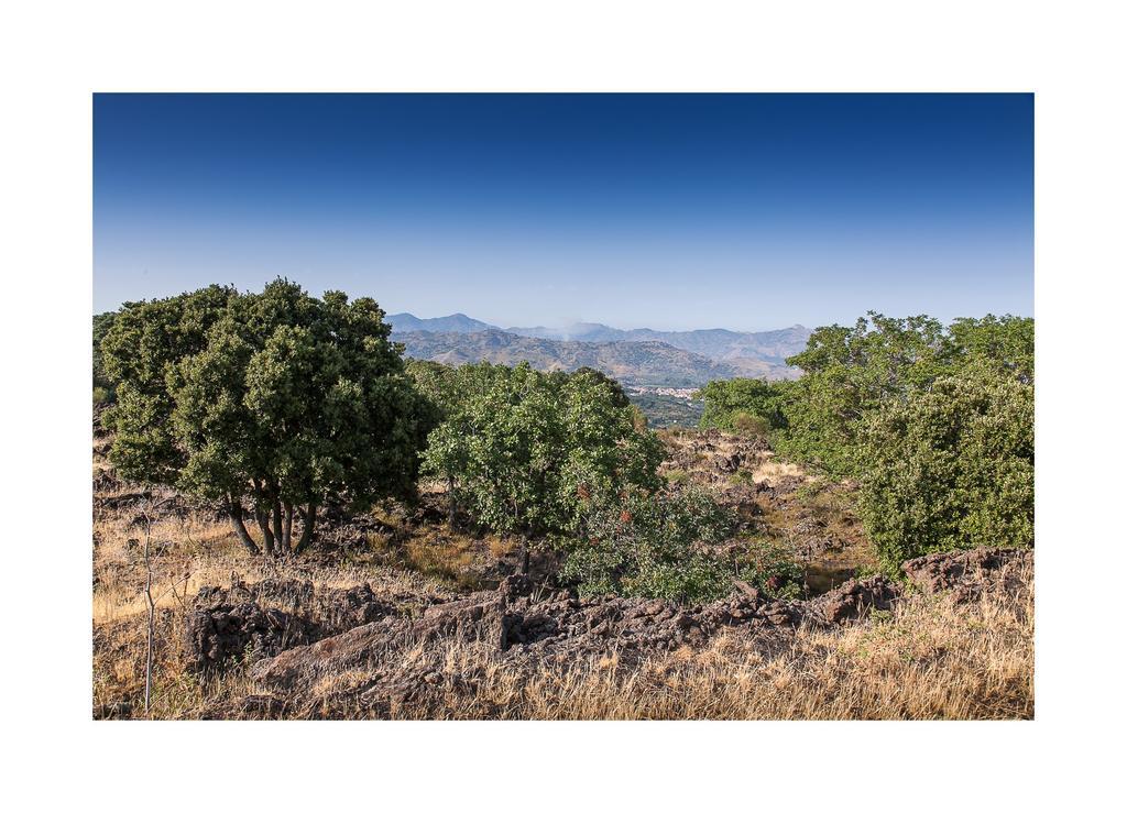 Вилла Ecoagriturismo Notti Stellate Etna Mare Маскали Экстерьер фото