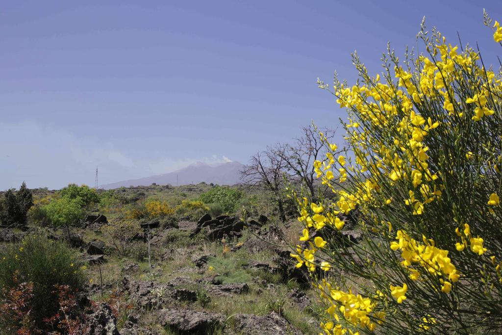 Вилла Ecoagriturismo Notti Stellate Etna Mare Маскали Экстерьер фото